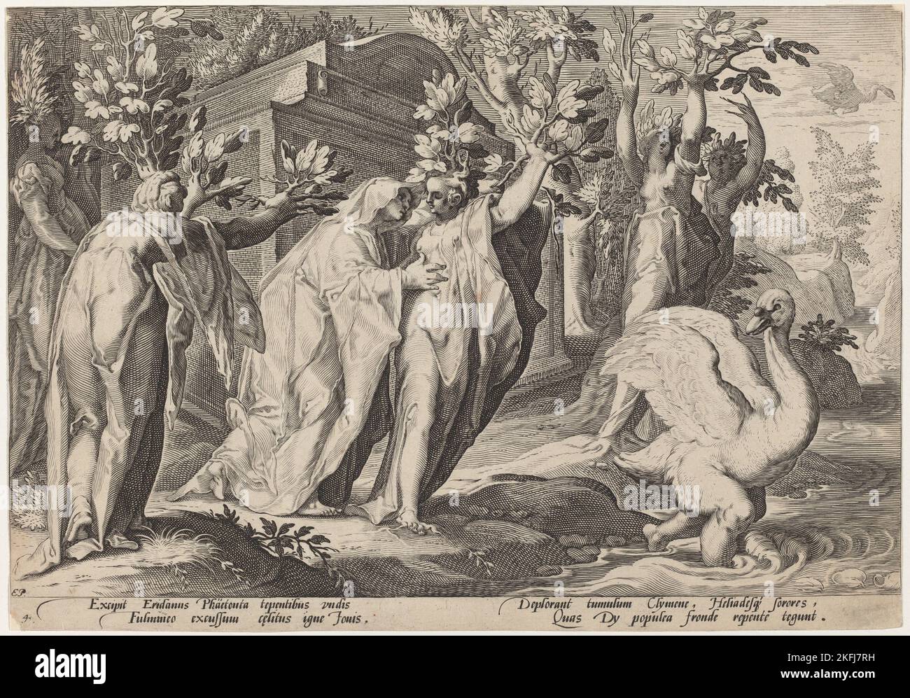 Les Sœurs de Phaeton se sont changées en Poplars, et Cygnus en Cygne, 1589. Banque D'Images