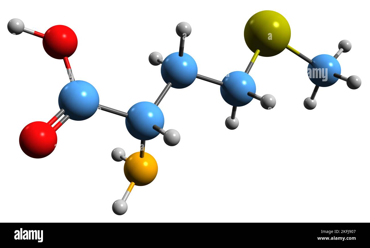 3D image de la formule squelettique de méthionine - structure chimique moléculaire de l'acide aminé essentiel isolé sur fond blanc Banque D'Images