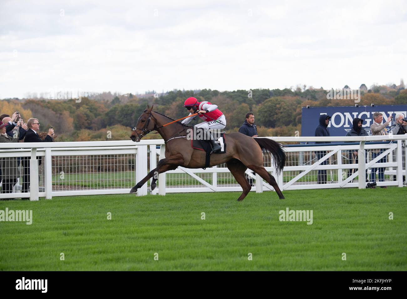 Ascot, Berkshire, Royaume-Uni. 18th novembre 2022. Le cheval Thunder Rock, monté par le jockey A P Heskin, remporte le Racing Welfare novices Limited handicap Steeple Chase à l'hippodrome d'Ascot. Propriétaire de la famille McNeill et Ian Dale. Entraîneur Olly Murphy, Wilmcote. Crédit : Maureen McLean/Alay Live News Banque D'Images