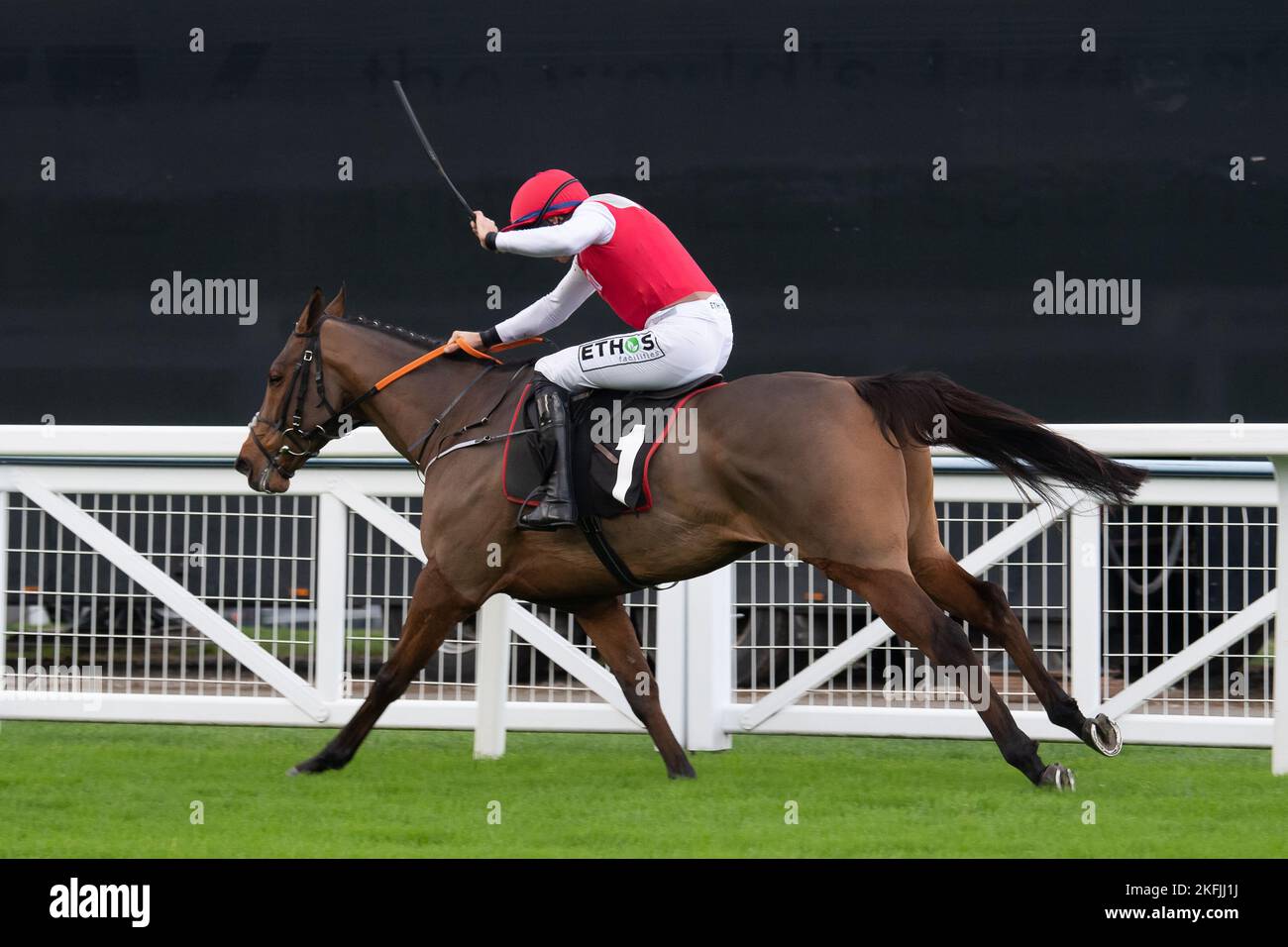 Ascot, Berkshire, Royaume-Uni. 18th novembre 2022. Le cheval Thunder Rock, monté par le jockey A P Heskin, remporte le Racing Welfare novices Limited handicap Steeple Chase à l'hippodrome d'Ascot. Propriétaire de la famille McNeill et Ian Dale. Entraîneur Olly Murphy, Wilmcote. Crédit : Maureen McLean/Alay Live News Banque D'Images