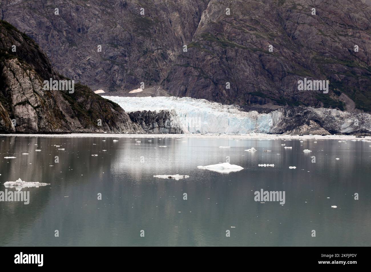 Glacier Bay Margerie icebergs. Le parc national et réserve de Glacier Bay est un parc national américain. Alaska près du Canada. Environnement protégé. Banque D'Images
