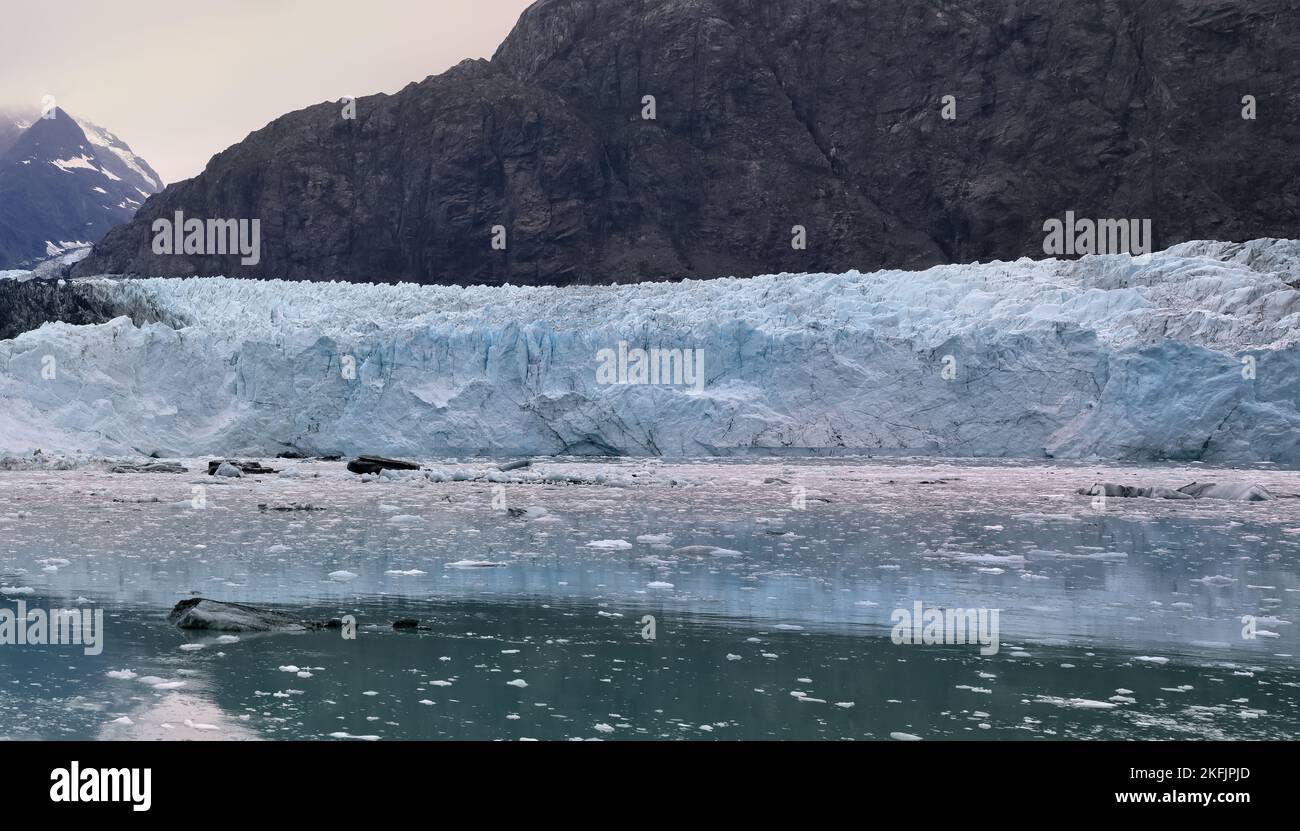 Glacier Bay Margerie icebergs. Le parc national et réserve de Glacier Bay est un parc national américain. Alaska près du Canada. Environnement protégé. Banque D'Images