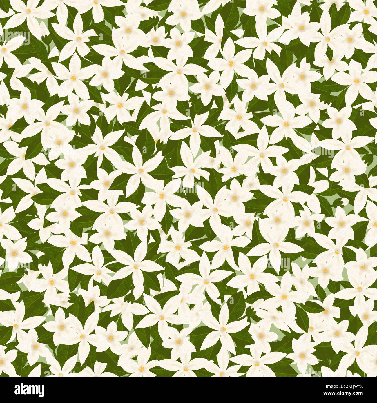 Motif fleurs de jasmin sans coutures. Fleurs et feuilles blanches sauvages se chevauchant. Illustration botanique moderne texturée. Banque D'Images