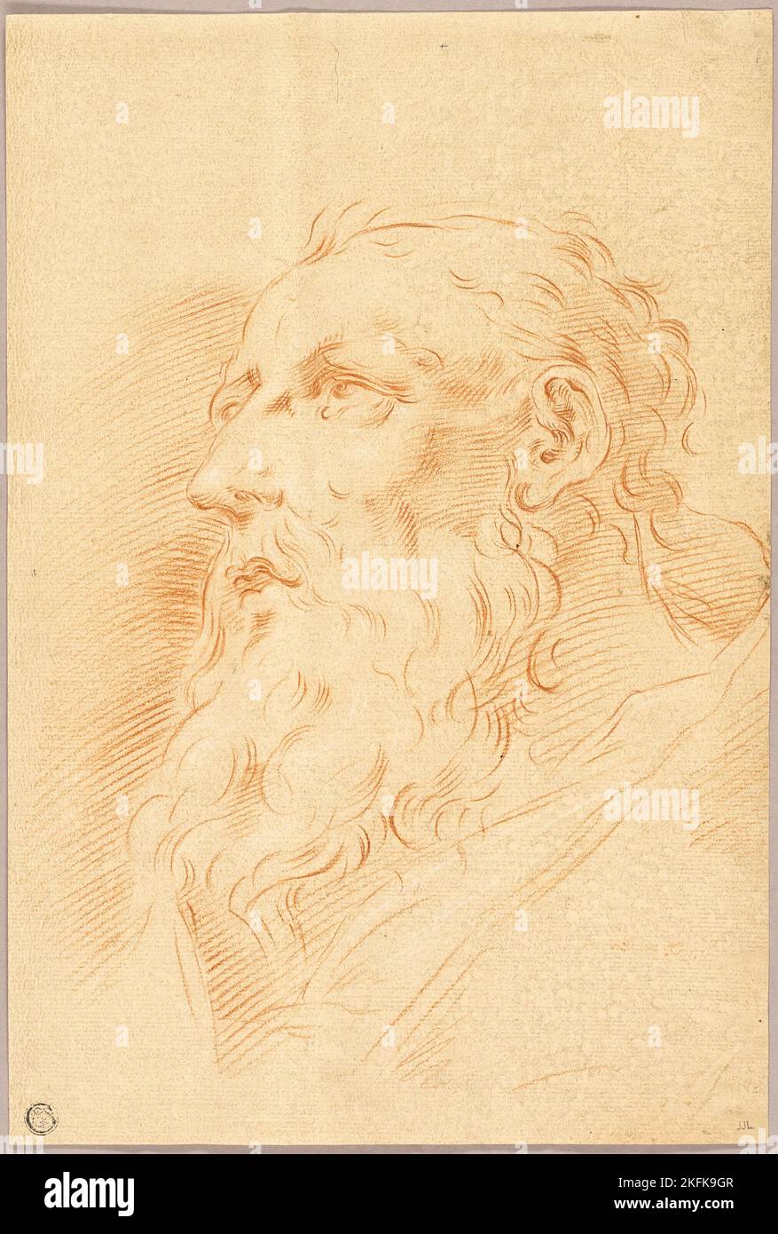 Chef de Bearded Man, n.d. Style de Pietro Antonio Novelli. Banque D'Images