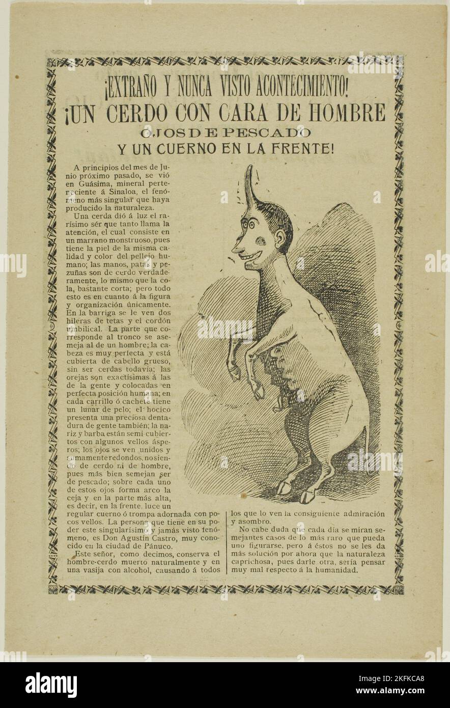 Étrange et inentendu de l'événement! Un cochon avec le visage d'un homme, les yeux d'un poisson et une corne sur son front!, 1900. Banque D'Images