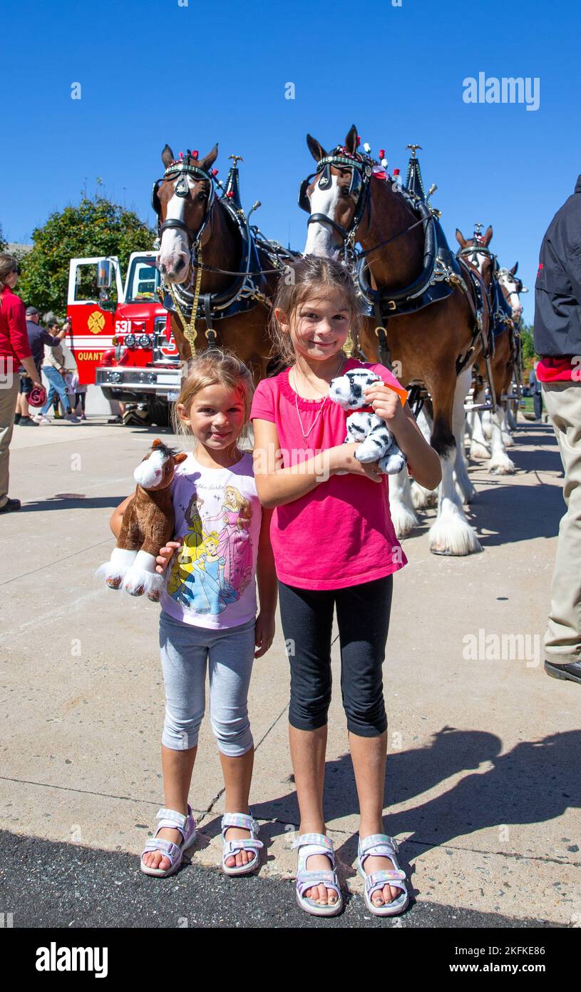 Les enfants posent devant les Clydesdales de Budweiser au Musée national du corps des Marines à Triangle, Virginie, le 23 septembre 2022. Les Clydesdales se rendent à des centaines d'apparitions chaque année dans toute l'Amérique du Nord et ont déjà fait des apparitions au musée en 2010. L'événement visait à sensibiliser le public au musée du corps des Marines et à montrer de l'appréciation à la communauté locale. Banque D'Images