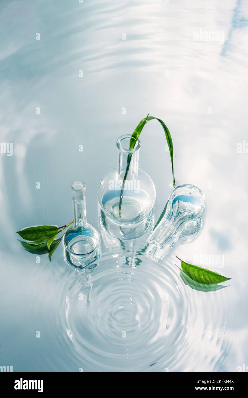 Extraction biologique et scientifique naturelle en Verrerie, Herb vert médecine alternative, produits de soins de la peau de beauté naturelle, Concep de laboratoire et de développement Banque D'Images