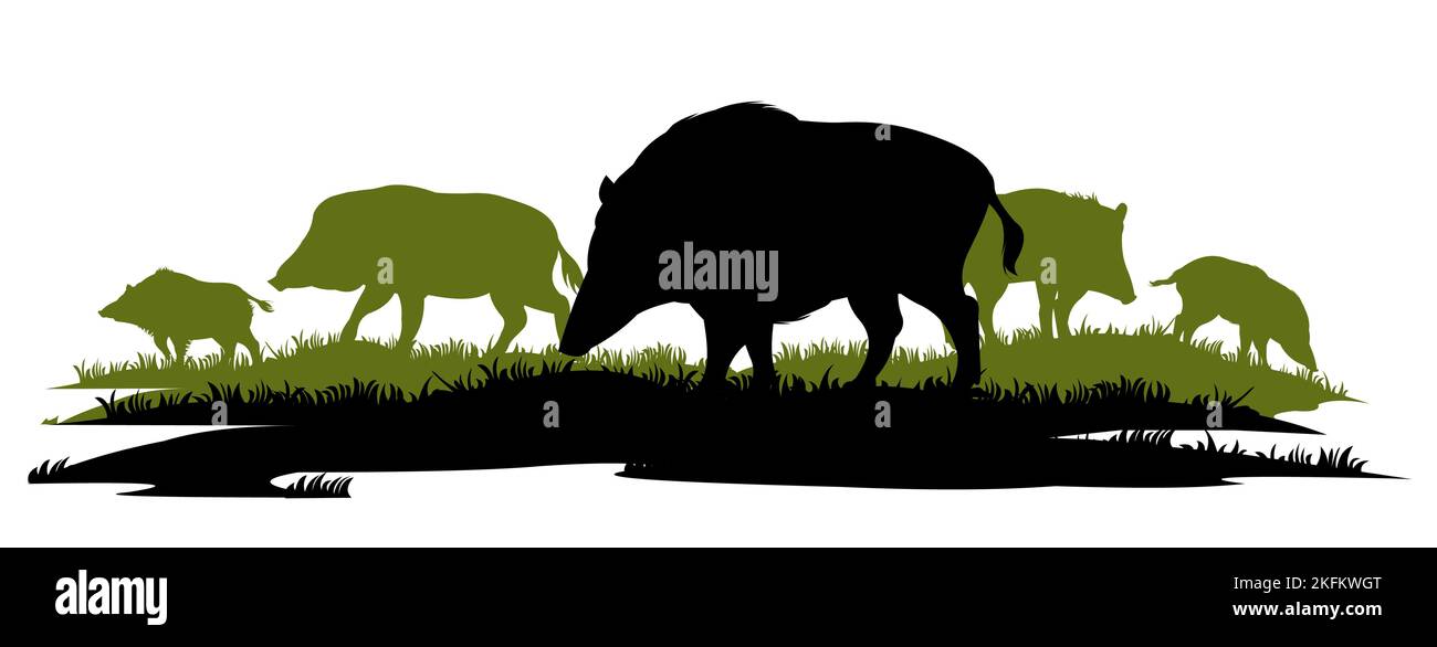 Troupeau de sangliers à la recherche de nourriture dans les prairies. Animal dans l'habitat naturel. Illustration de cochon sauvage. Isolé sur fond blanc. Vecteur Illustration de Vecteur