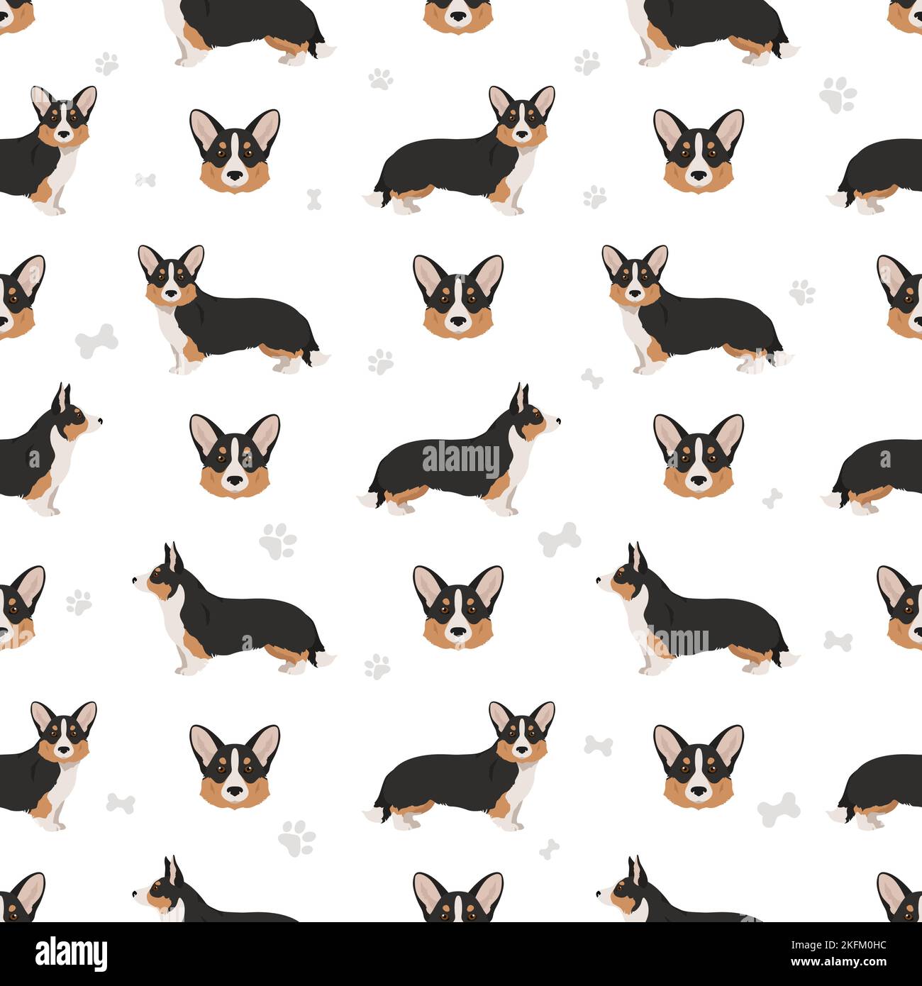 Gilet gallois en corgi à motif sans coutures. Différentes poses, ensemble de couleurs de pelage. Illustration vectorielle Illustration de Vecteur