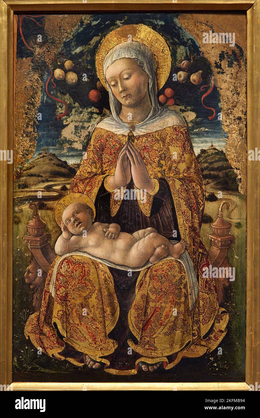 Madonna col Bambino - tavola - Lazzaro Bastiani - XV secolo - Padova, Musei Civici agli Emeritani Banque D'Images