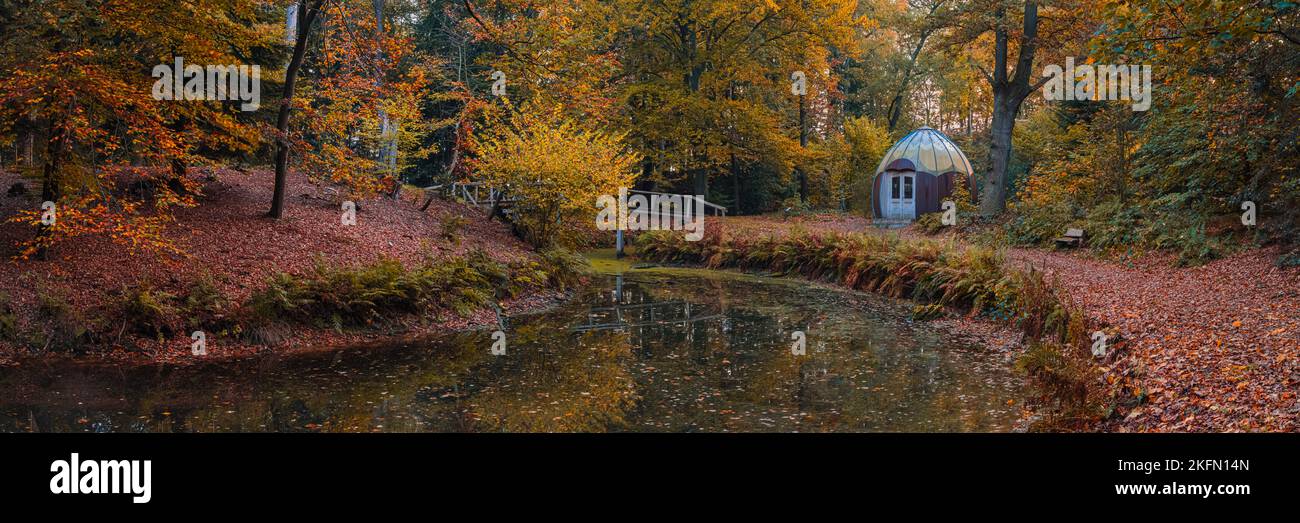 Une image panoramique 3:1 de l'automne à Slochterbos (forêt de Slochter). La forêt fait partie du Fraeylemaborg à Slochteren, dans la province de Gron Banque D'Images