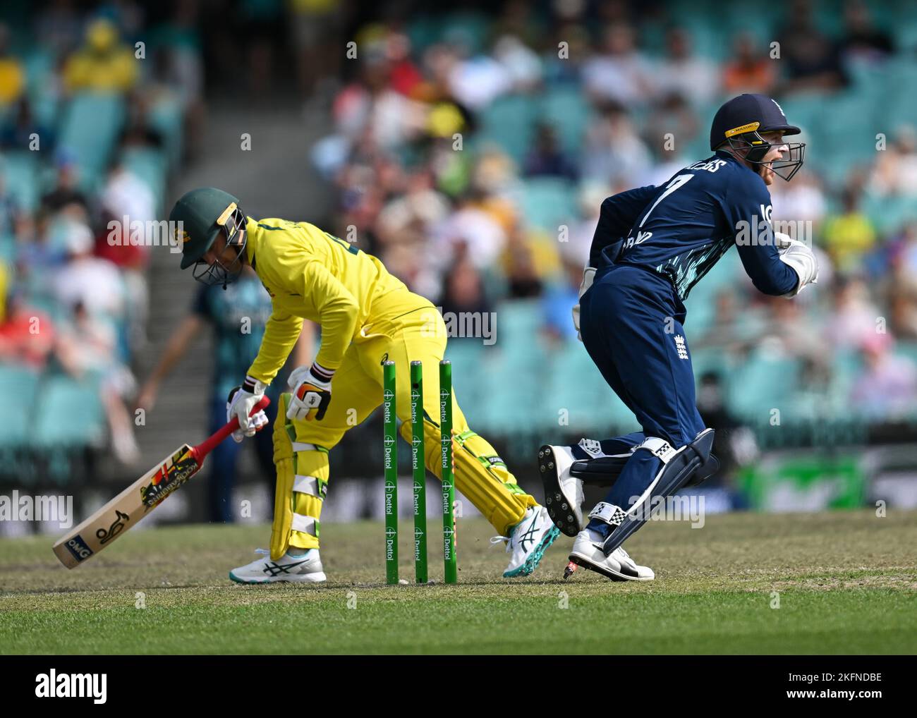 Au cours du deuxième jeu de la série internationale One Day entre l'Australie et l'Angleterre au Sydney Cricket Ground sur 19 novembre 2022 à Sydney, en Australie.(photo : Izhar Khan) IMAGE LIMITÉE À UN USAGE ÉDITORIAL - STRICTEMENT AUCUNE UTILISATION COMMERCIALE Banque D'Images