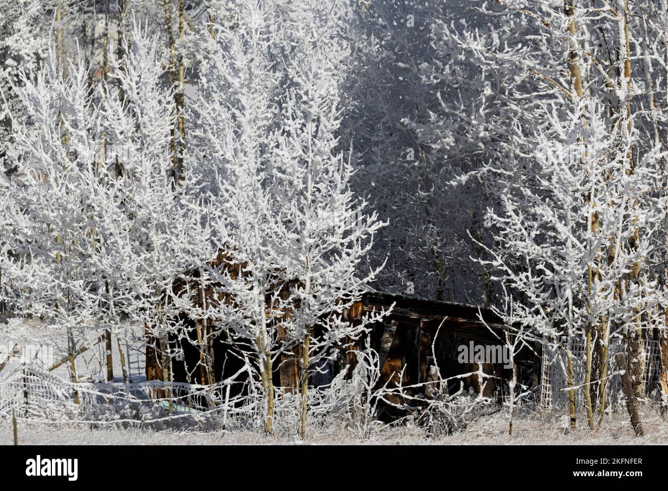 Couvertures de neige fraîche du sud du Colorado à Cripple Creek et Victor Banque D'Images