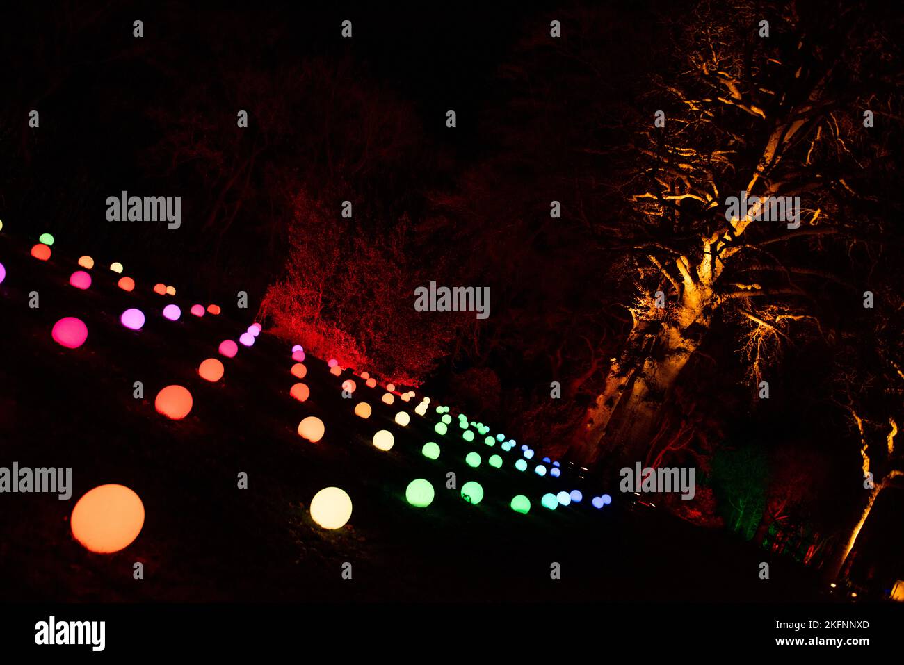 Orbes illuminés aux lumières de Noël du Palais de Blenheim, 2020. Banque D'Images