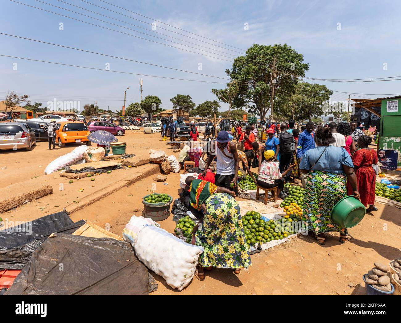Mangos à vendre sur le terrain près du marché de Mzuzu, Malawi Banque D'Images