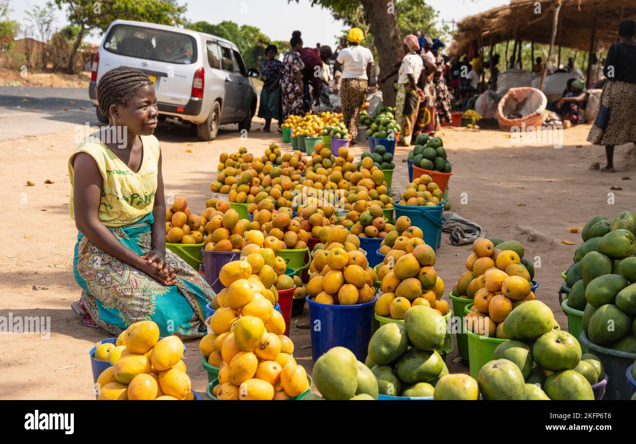 Une femme vend des seaux de mangues au bord de la route dans les zones rurales du Malawi Banque D'Images