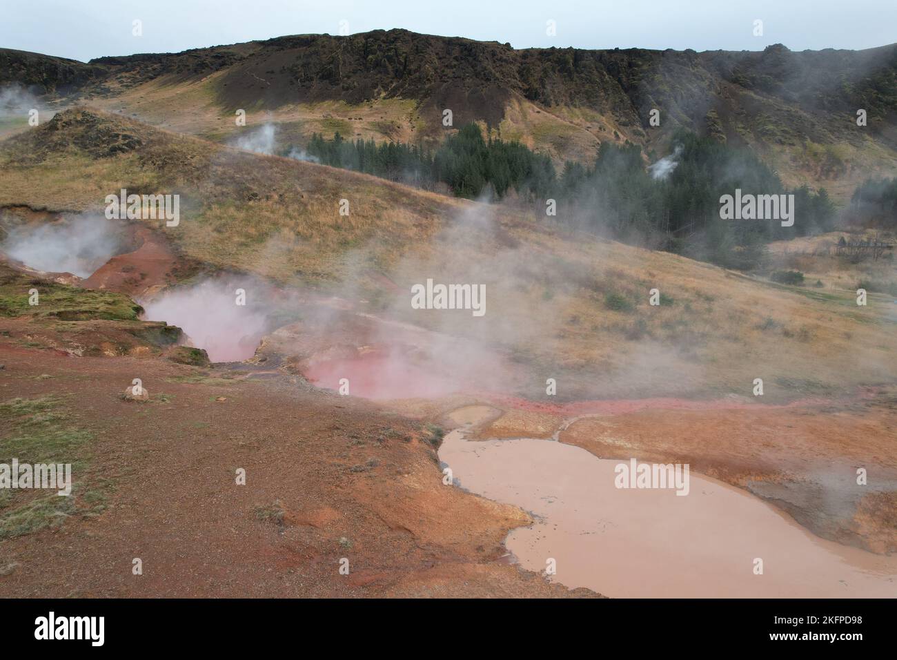 Zone géothermique, Hveragerdi, Islande Banque D'Images