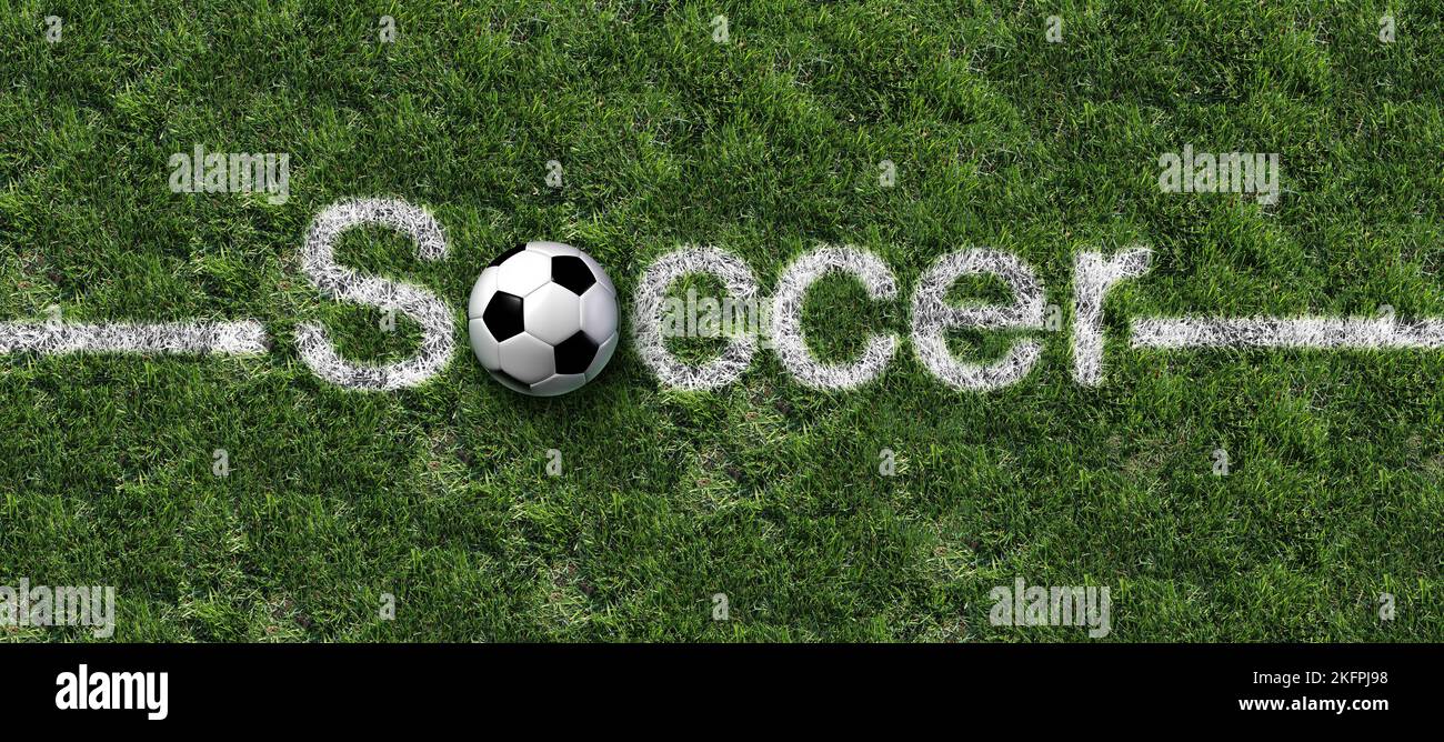 Le football comme terrain de sport sur gazon avec un football européen comme lignes peintes sur le gazon Banque D'Images