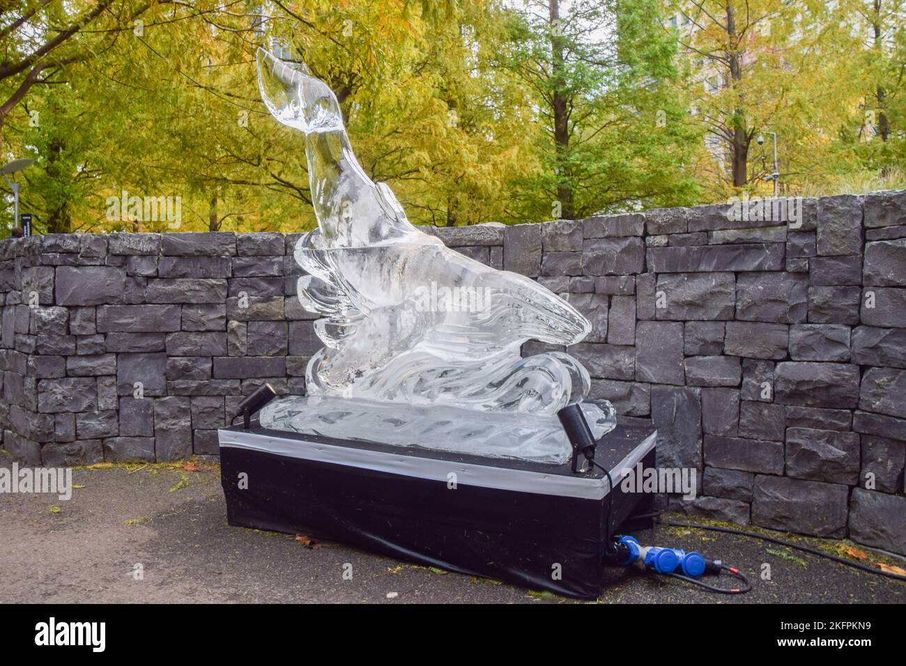 Londres, Royaume-Uni. 19th novembre 2022. Sculpture sur glace de baleine. Les sculpteurs ont créé des sculptures sur glace d'animaux à Canary Wharf dans le cadre de la glace d'hiver, qui vise à souligner l'urgence de protéger les espèces menacées dans le monde entier. Credit: Vuk Valcic/Alamy Live News Banque D'Images