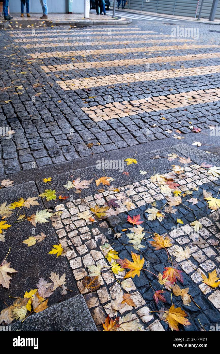 Des feuilles d'automne colorées sont tombées sur le plancher de la rue lors d'un jour pluvieux au Portugal Banque D'Images