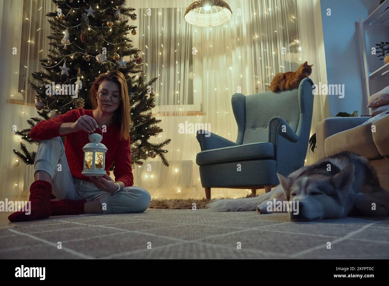 Une femme décorera une lanterne de Noël assise sur le sol à côté d'un arbre de Noël, un chat et un chien dorment à proximité Banque D'Images