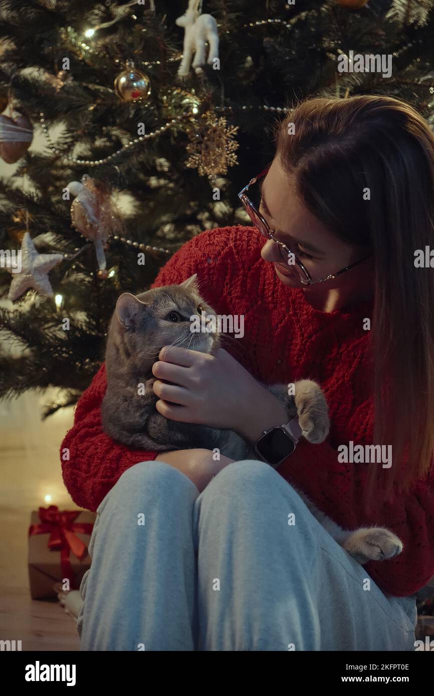 Jeune femme avec un chat assis près de l'arbre de Noël, Noël avec un chat d'animal de compagnie Banque D'Images