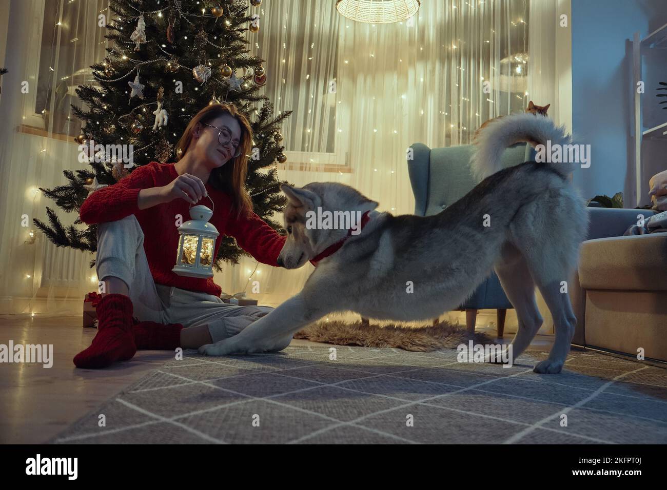 Une femme décorera une lanterne de Noël assise sur le sol à côté d'un arbre de Noël, un chat et un chien dorment à proximité Banque D'Images