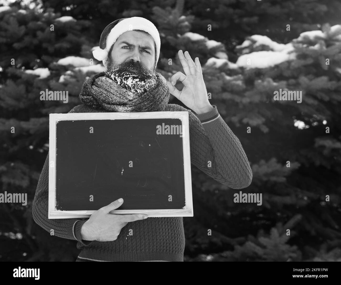 Grenouille homme dans le chapeau du père noël, hipster avec la barbe et la moustache couverte de givre blanc, avec tableau noir ou tableau noir blanc donne ok geste sur Banque D'Images Grenouille homme dans le chapeau du père noël, hipster avec la barbe et la moustache couverte de givre blanc, avec tableau noir ou tableau noir blanc donne ok geste sur Banque D'Images