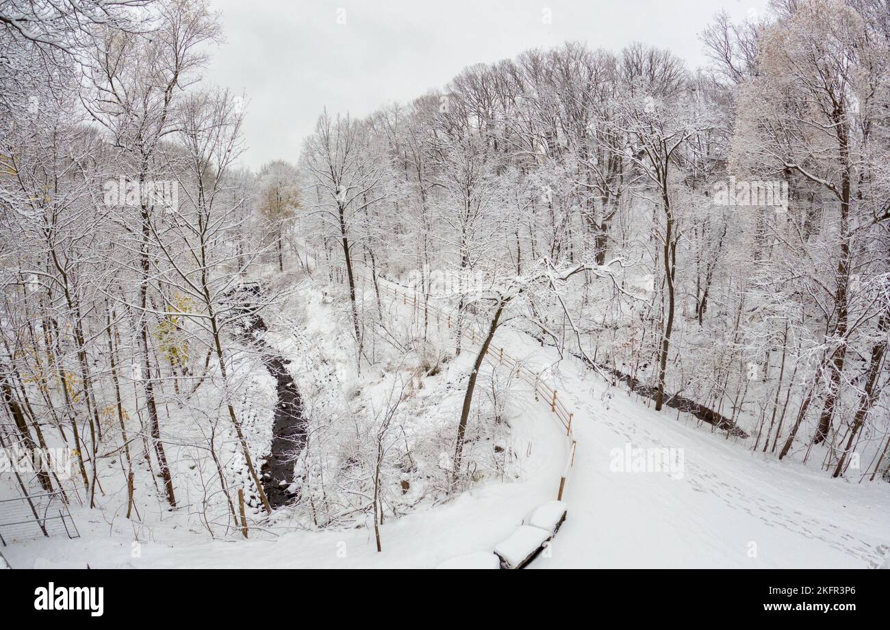 Neige tombant sur le sentier de randonnée et la forêt du parc Moore Ravine à Toronto, Ontario, Canada Banque D'Images