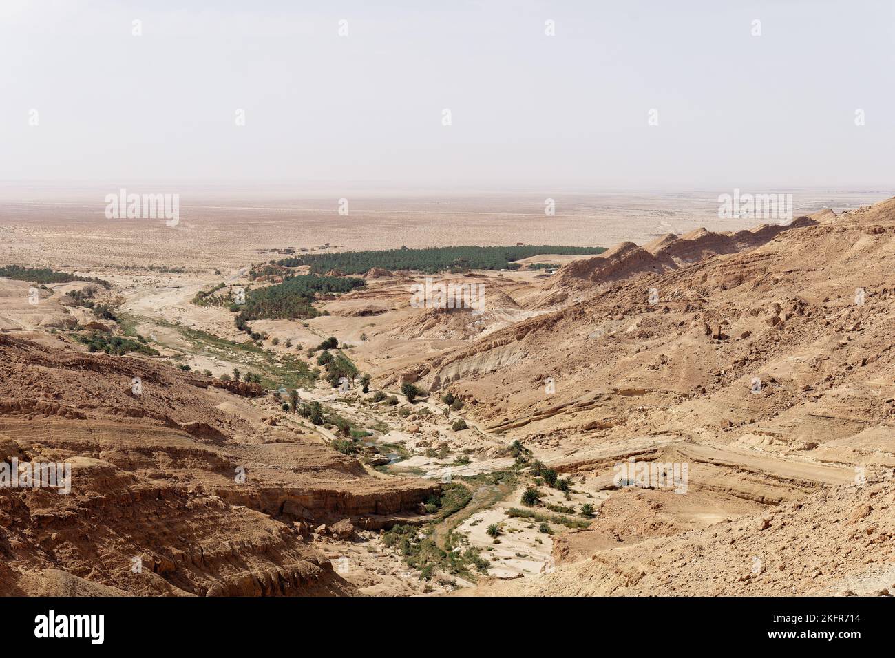 Vue sur l'oasis de Chebika en Tunisie avec palmiers et montagne en arrière-plan. Destination du voyage. Vacances et détente dans le désert. Tourisme. Banque D'Images