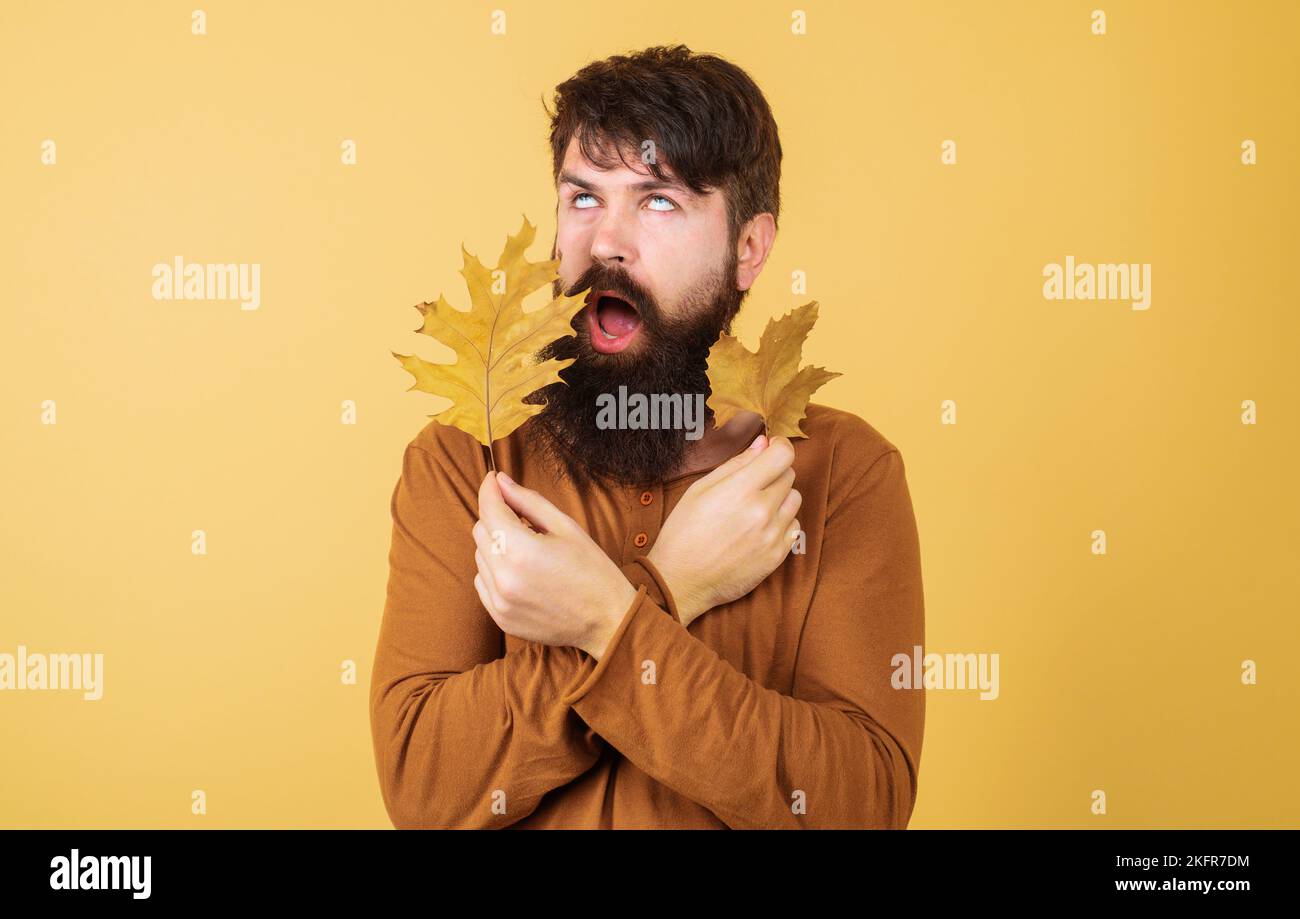 Mode hommes. Homme barbu avec des feuilles dorées. Vêtements d'automne pour homme. Soldes de saison. Remise. Banque D'Images