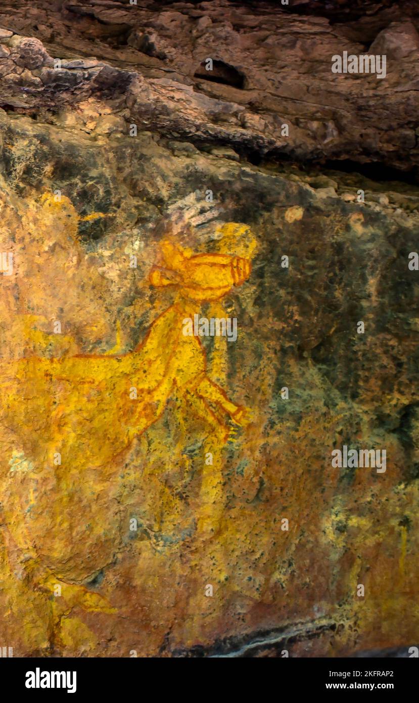 Détail d'un kangourou représenté sur une peinture rupestre aborigène au site d'art rupestre de Burrungkuy (Nourlangie) dans le parc national de Kakadu, territoire du Nord, Banque D'Images