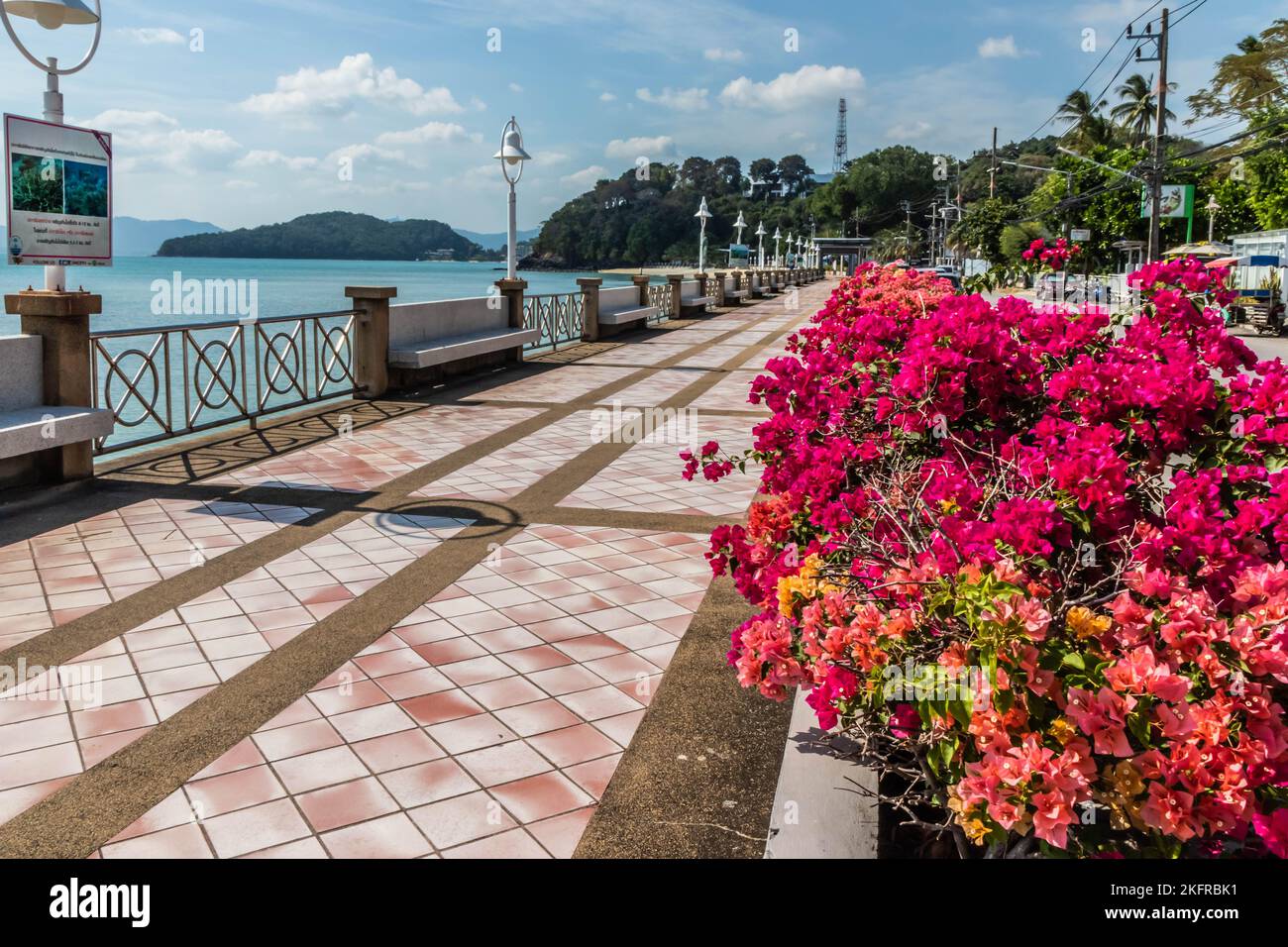 Bougainvillaea et promenade au Cap Panwa, Phuket, Thaïlande Banque D'Images