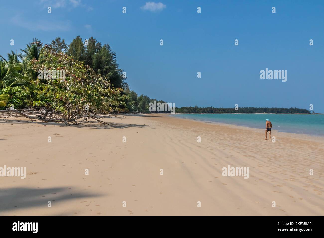 Seul sur la plage, Coconut Beach, Khao Lak, Thaïlande Banque D'Images