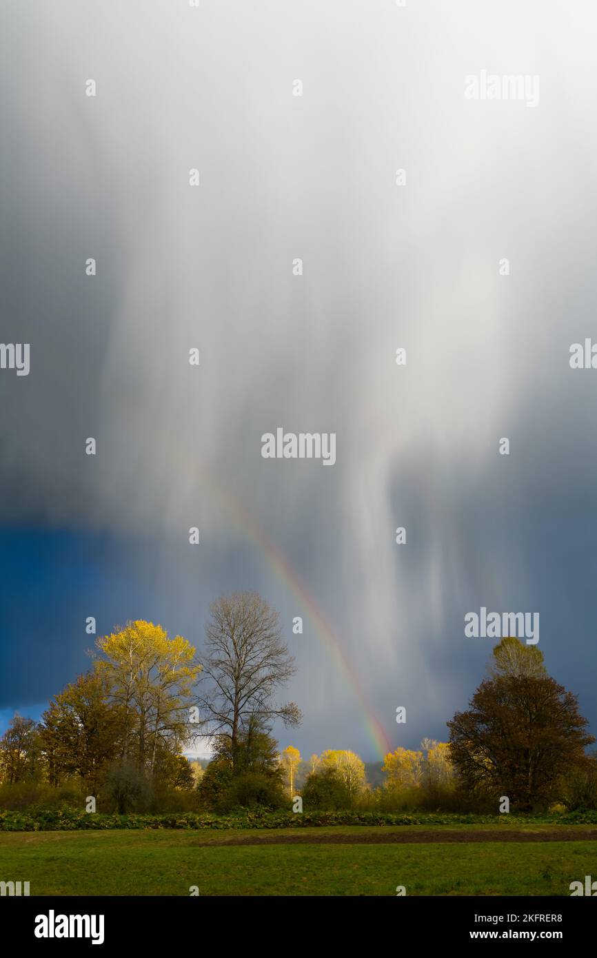 Arbres de pluie tombant à travers un arc-en-ciel au-dessus des arbres ensoleillées dans le pays Banque D'Images