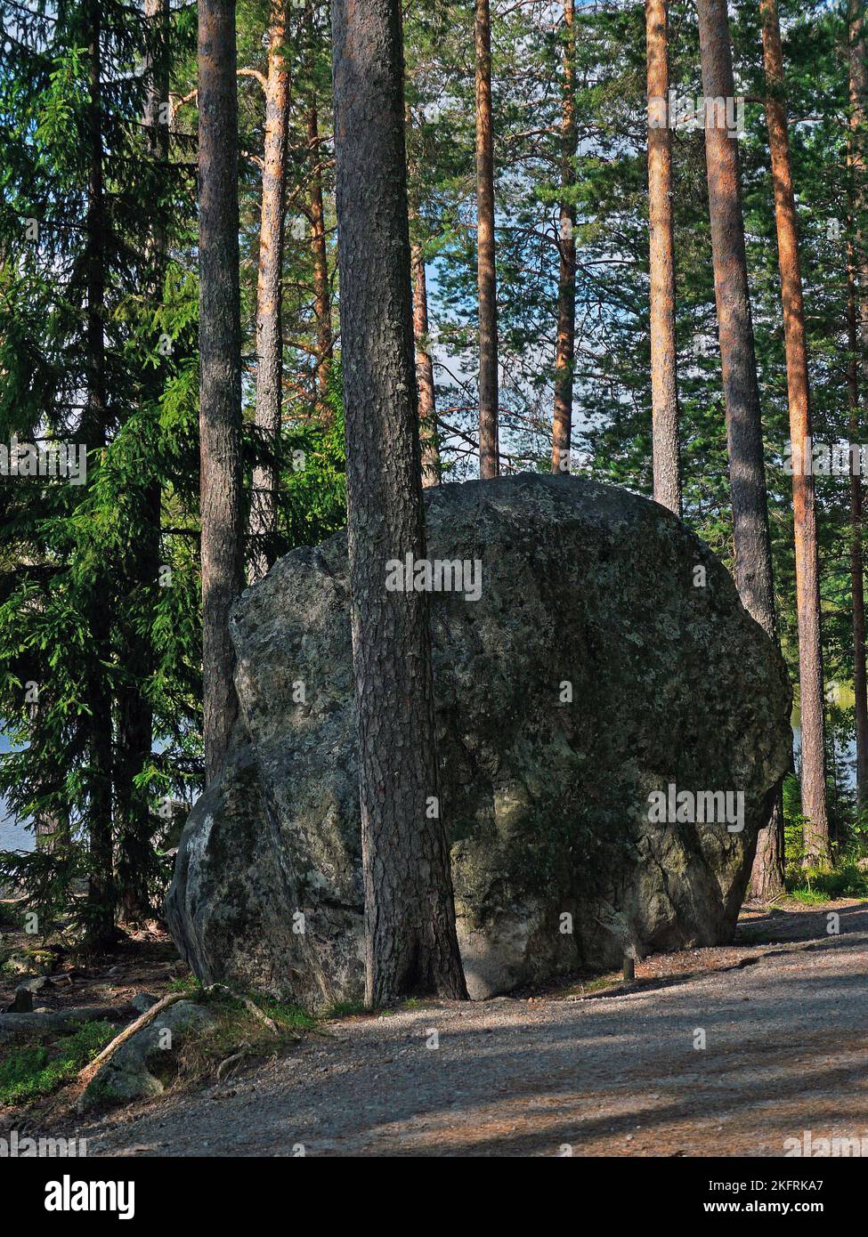 Bloc erratique. Kirveslahti, Kuopio, Finlande, 2017-08-08 10:07 +03. Banque D'Images