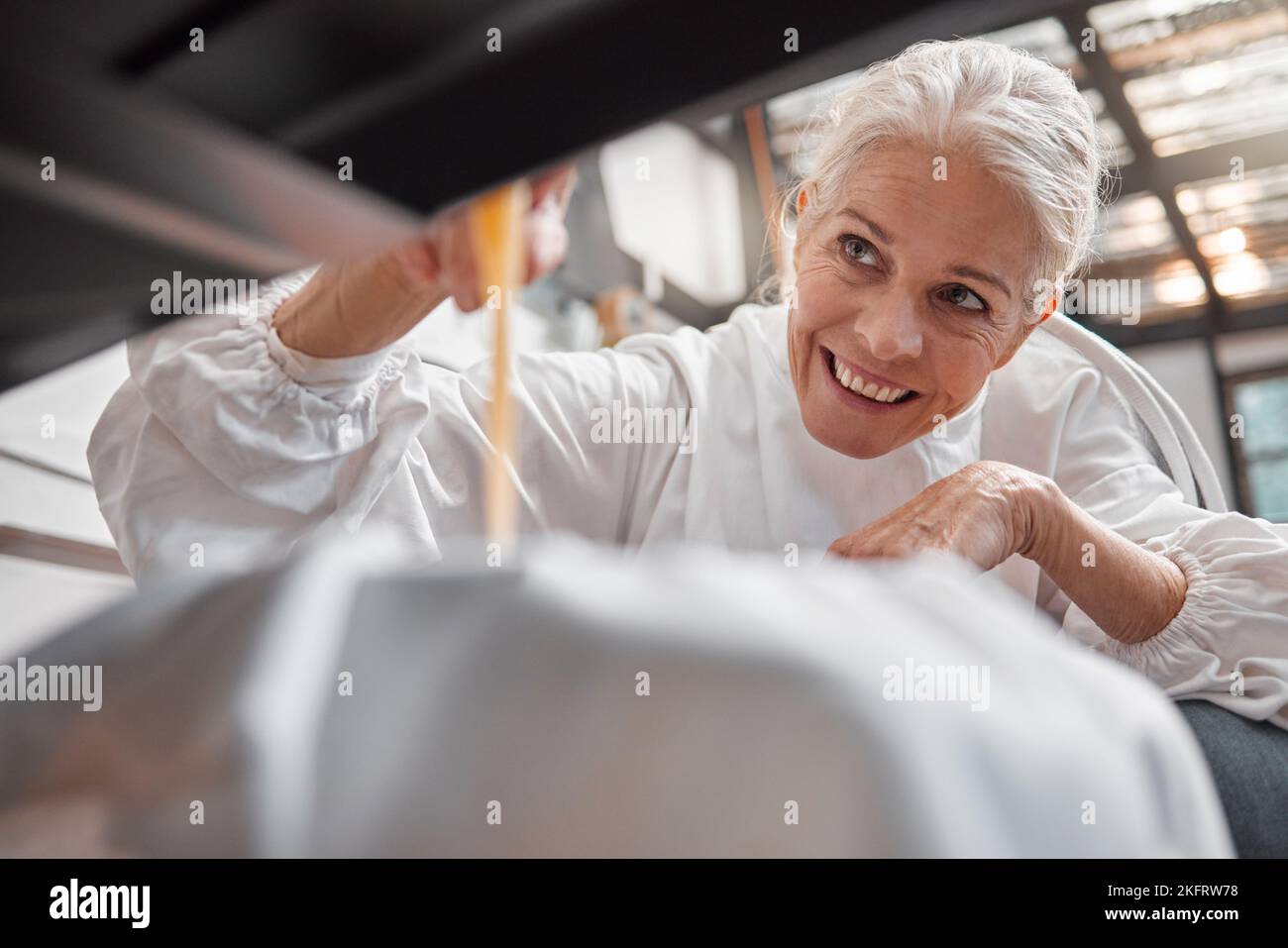 Atelier sur l'industrie du miel, du travail des apiculteurs et de la production de nid d'abeille, du déversement du sucre et de l'apiculture. Femme, beeeping produit et heureux travailleur ou Banque D'Images