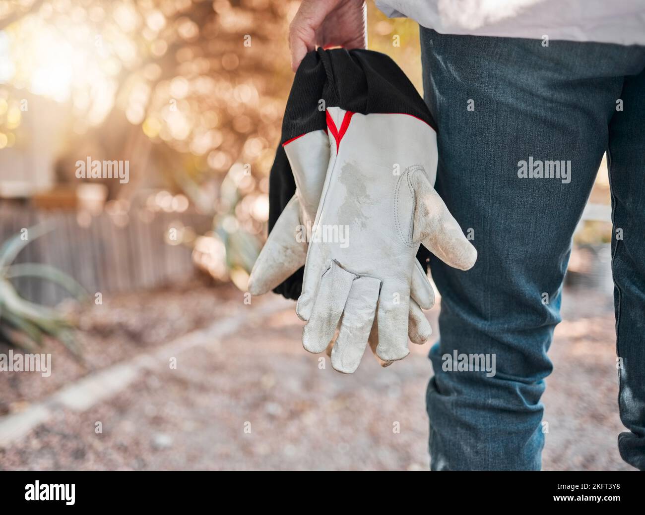 Agriculture, nature et mains avec des gants pour l'apiculture, la production de miel et la récolte à l'extérieur. Agriculture, produits naturels et apiculteur avec Banque D'Images