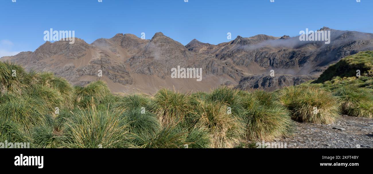 Panorama du paysage de la Géorgie du Sud Cumberland West Bay Banque D'Images