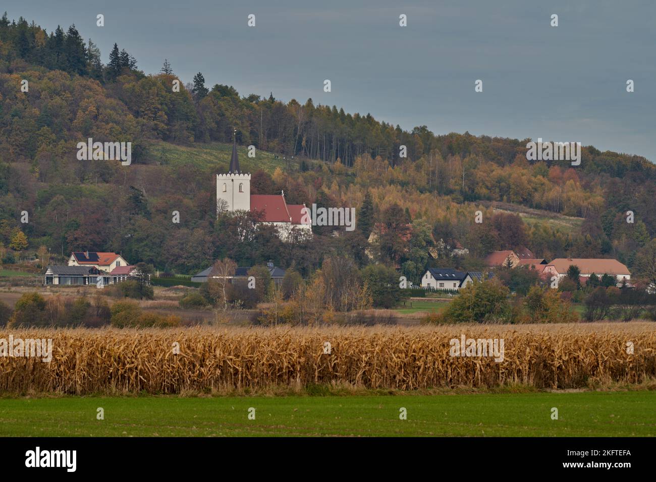 Couleurs de la fin de l'automne des arbres Basse Silésie Pologne Banque D'Images