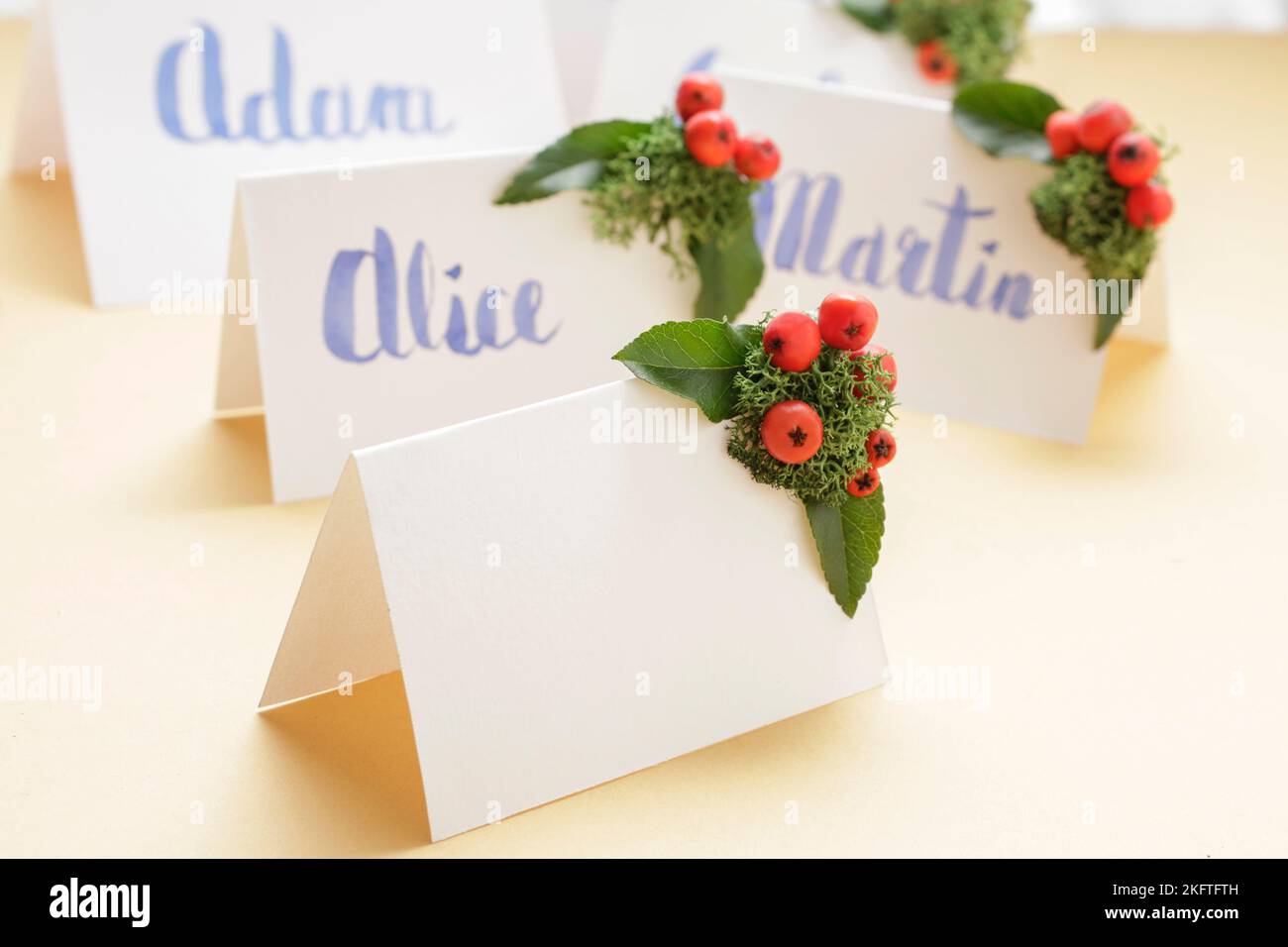 Cartes De Nom Avec Nœud Rose - Lot De 50 - Pour Mariage, Anniversaire, Fêtes - Design élégant En Papier Cartonné