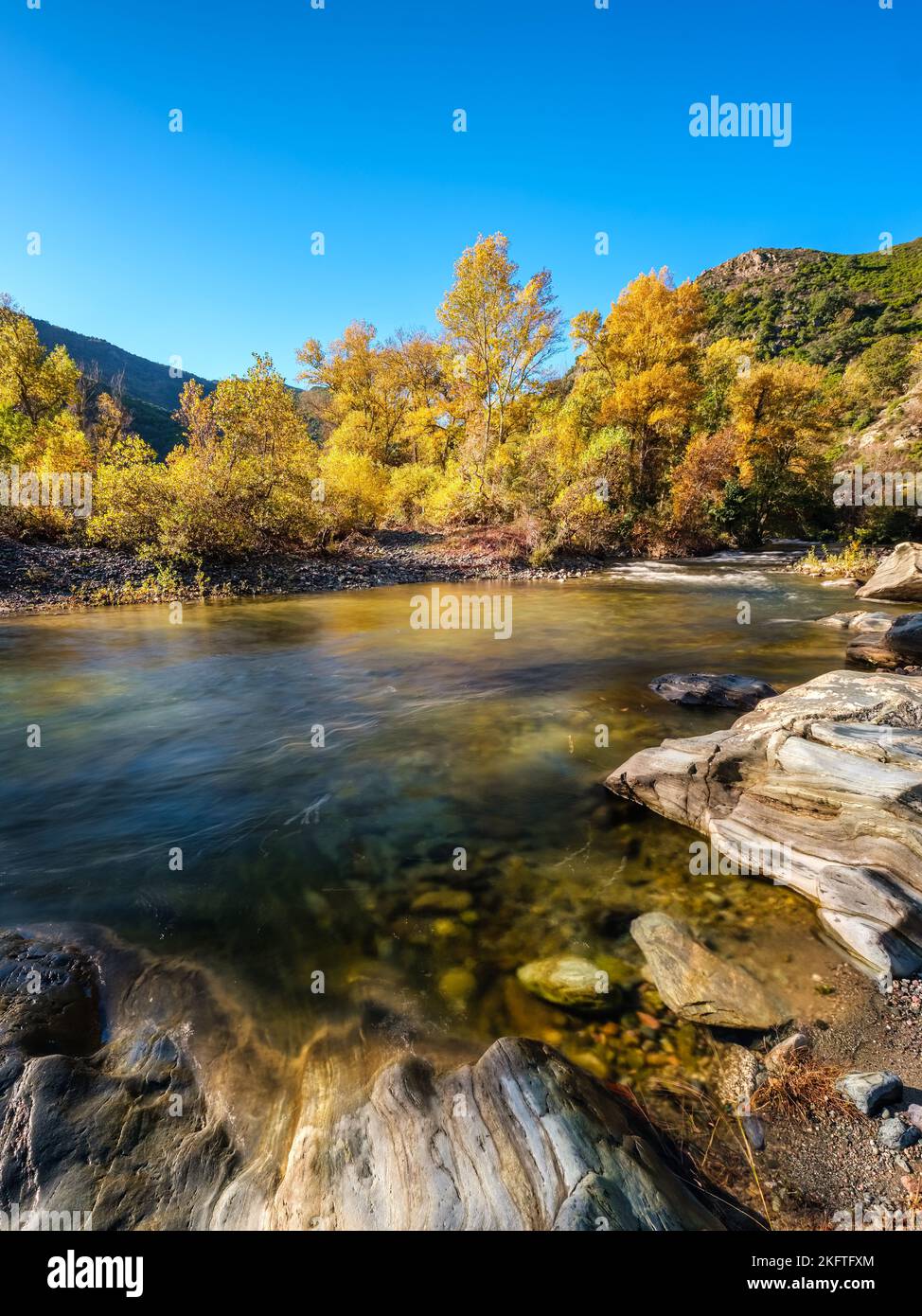 Feuillage d'automne et rochers spectaculaires au bord du fleuve Golo au Torrent de Cipetto près de Barchetta en Corse Banque D'Images