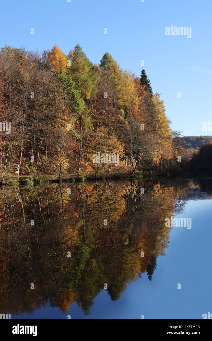 Photo d'une forêt automnale reflétée dans un lac Banque D'Images