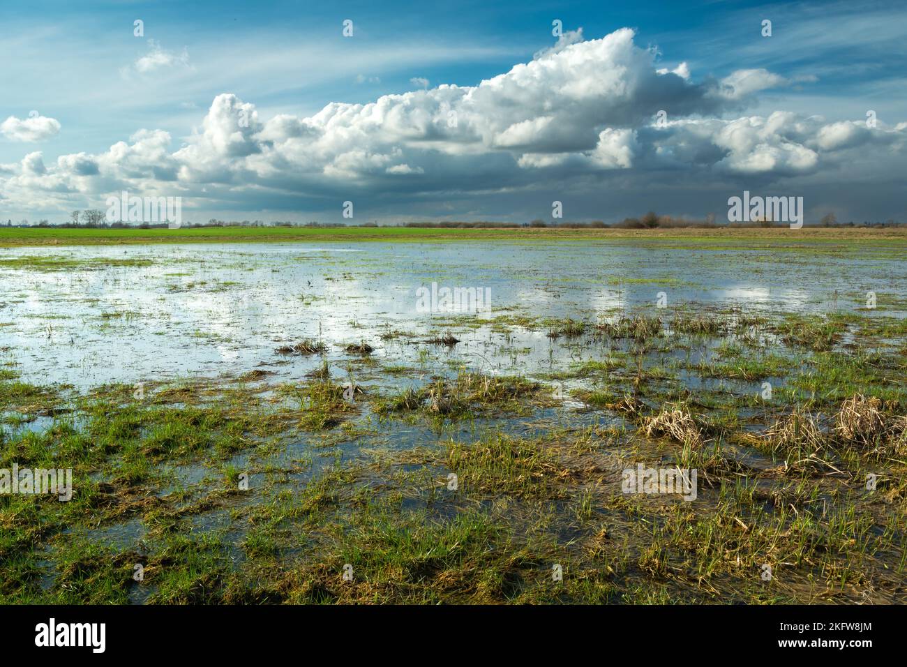 Pré humide après une descente, paysage de printemps dans l'est de la Pologne Banque D'Images