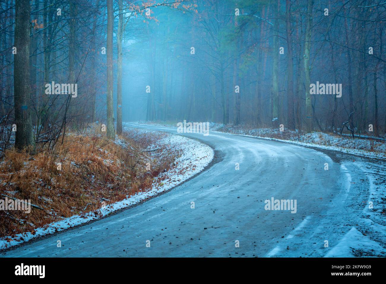 Un virage sur la route dans une forêt d'hiver brumeuse Banque D'Images