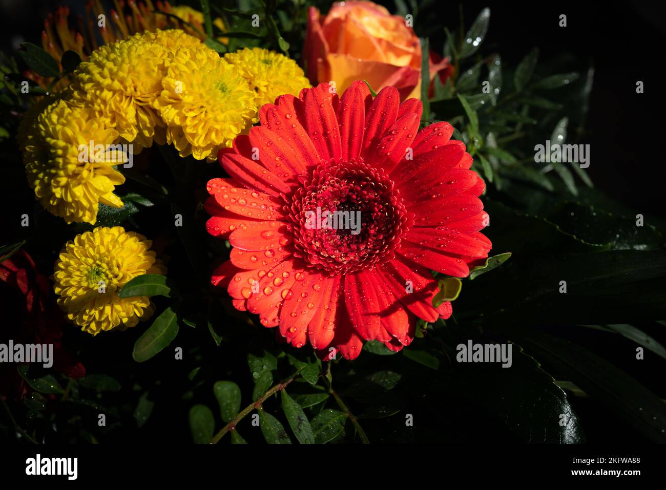 gros plan d'un gerbera dans un bouquet de fleurs Banque D'Images