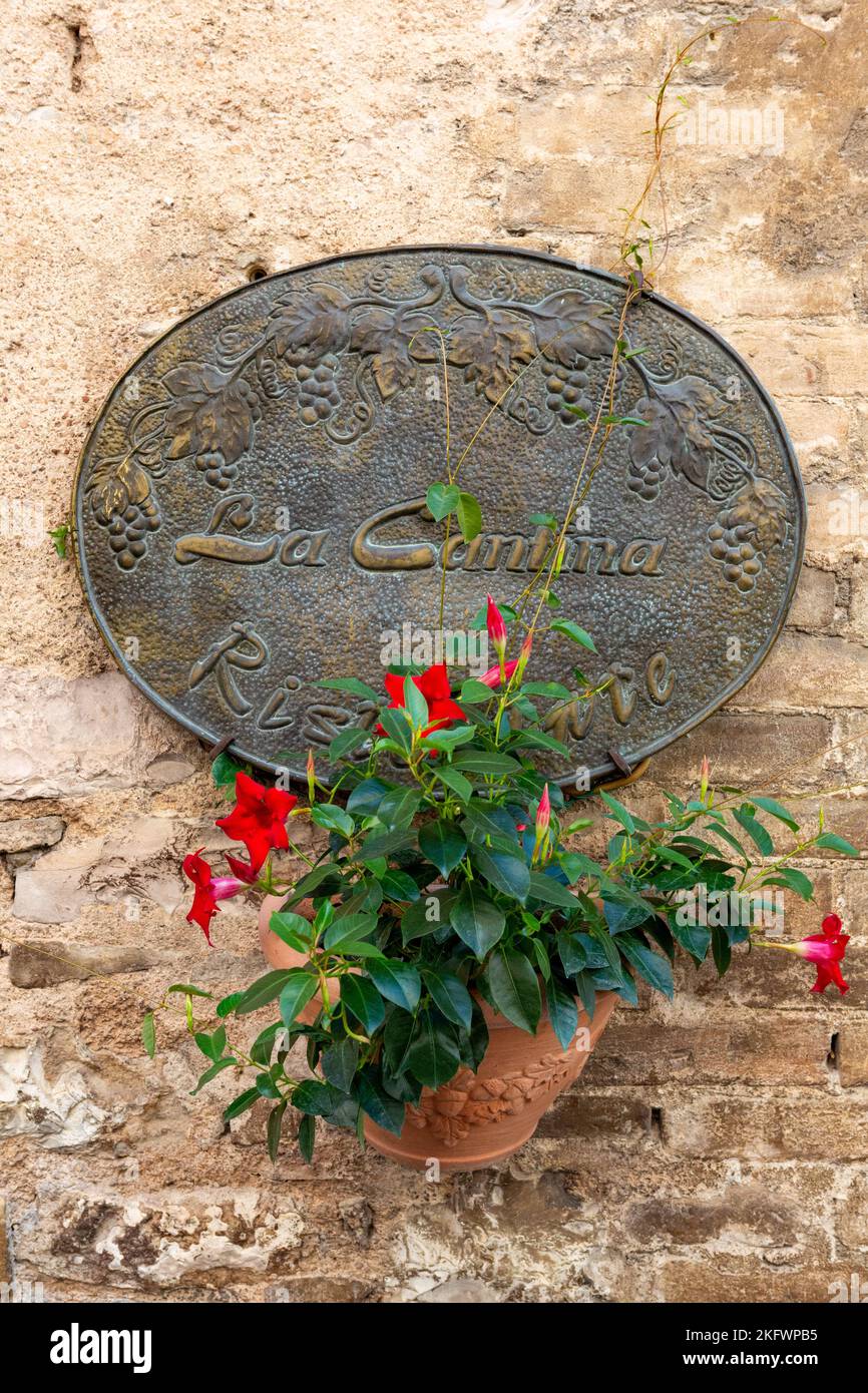Panneau en cuivre et une terre cuite avec une plante un mur du restaurant Ristorante la Cantina di Spello dans le village italien de Spello dans la Pérouse. Banque D'Images
