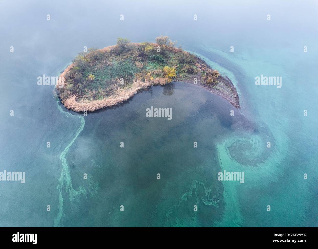 Vue aérienne d'une fleur toxique d'algues bleu-vert (cyanobactéries) tournoyant autour d'une île, Loch Leven, Écosse Banque D'Images