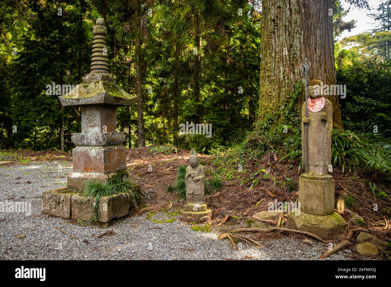 Les lanternes toro en pierre anciennes à la forêt du temple se rapprochent Banque D'Images