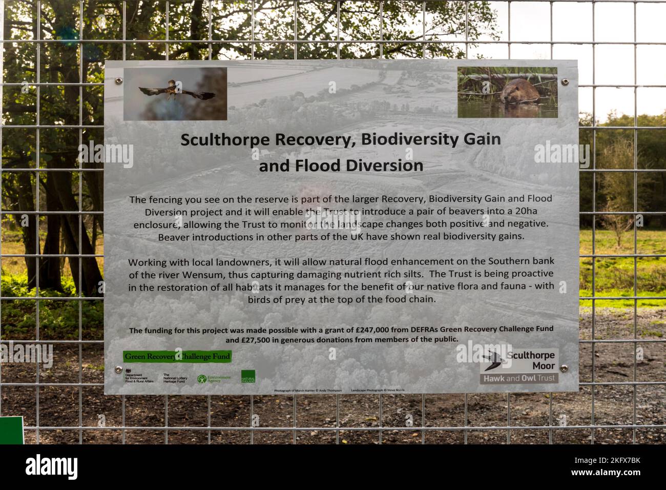 Un panneau à la réserve naturelle de Sculthorpe Moor explique l'introduction des castors dans le cadre du projet de rétablissement, de gain de biodiversité et de dérivation des crues. Banque D'Images